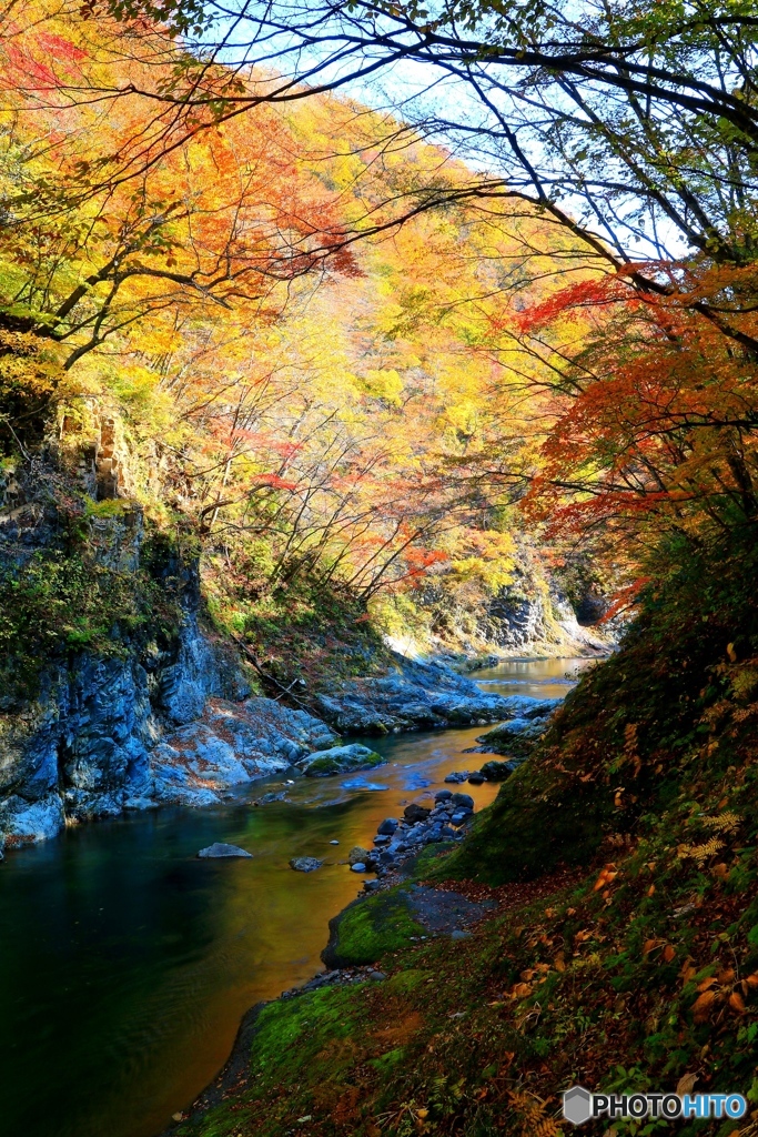 晩秋の渓流