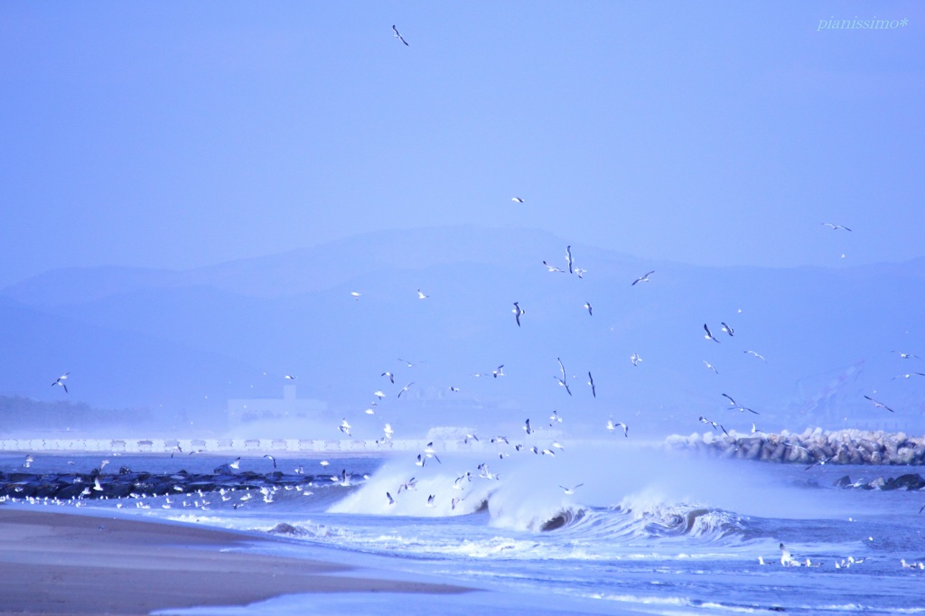 !nstrumental (the sea ・ Ⅹ)