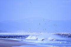 !nstrumental (the sea ・ Ⅹ)