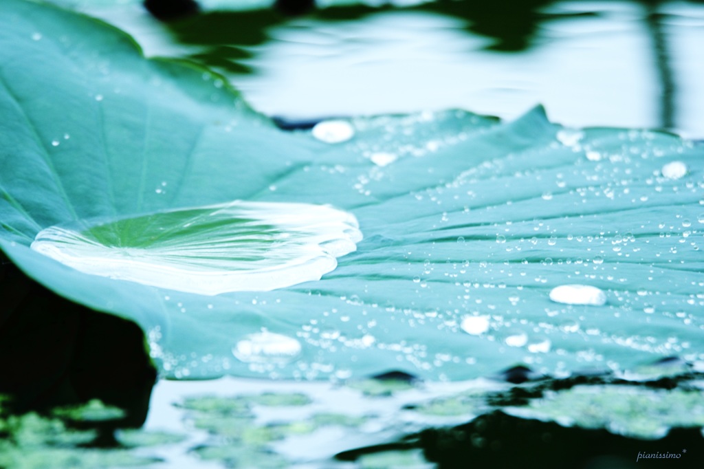 水の器　2
