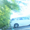 駐車場のグリーン♪