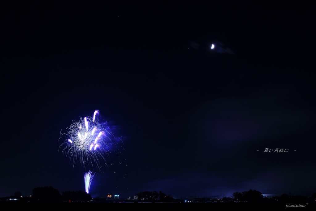 蒼い月夜に　・・　☪　・・