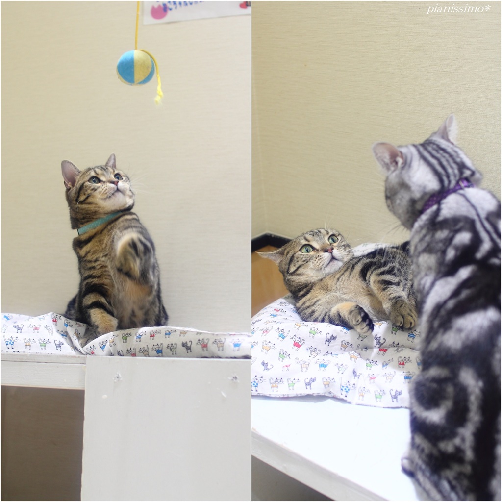 番長現る＼(◎o◎)／! ! !