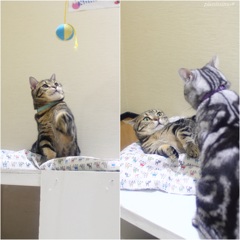 番長現る＼(◎o◎)／! ! !