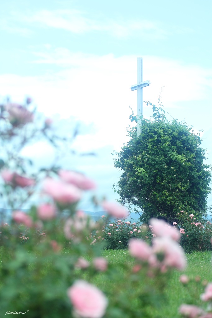 Cross & roses