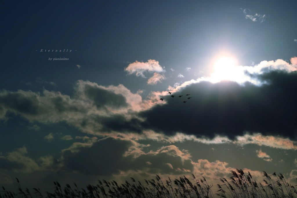 - Eternally   #2 -