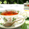 新緑の下のカフェテラス