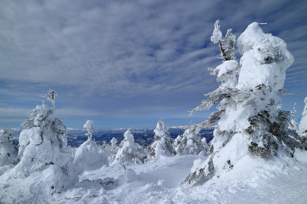 W!nter ZAO !!! (Snow monster Ⅲ)