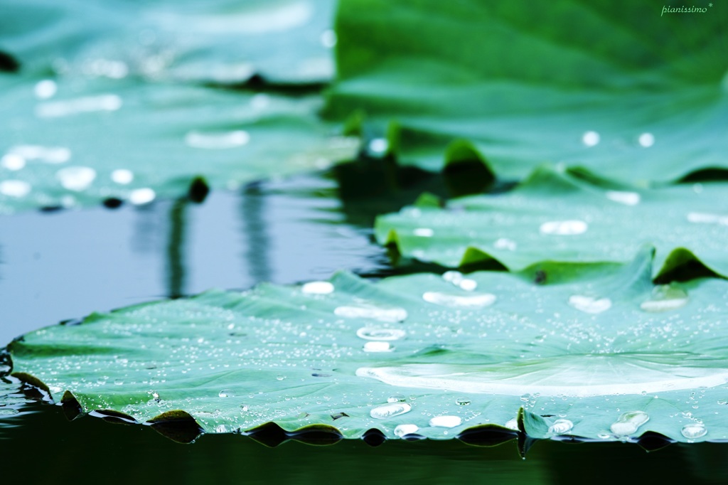 水の器　1