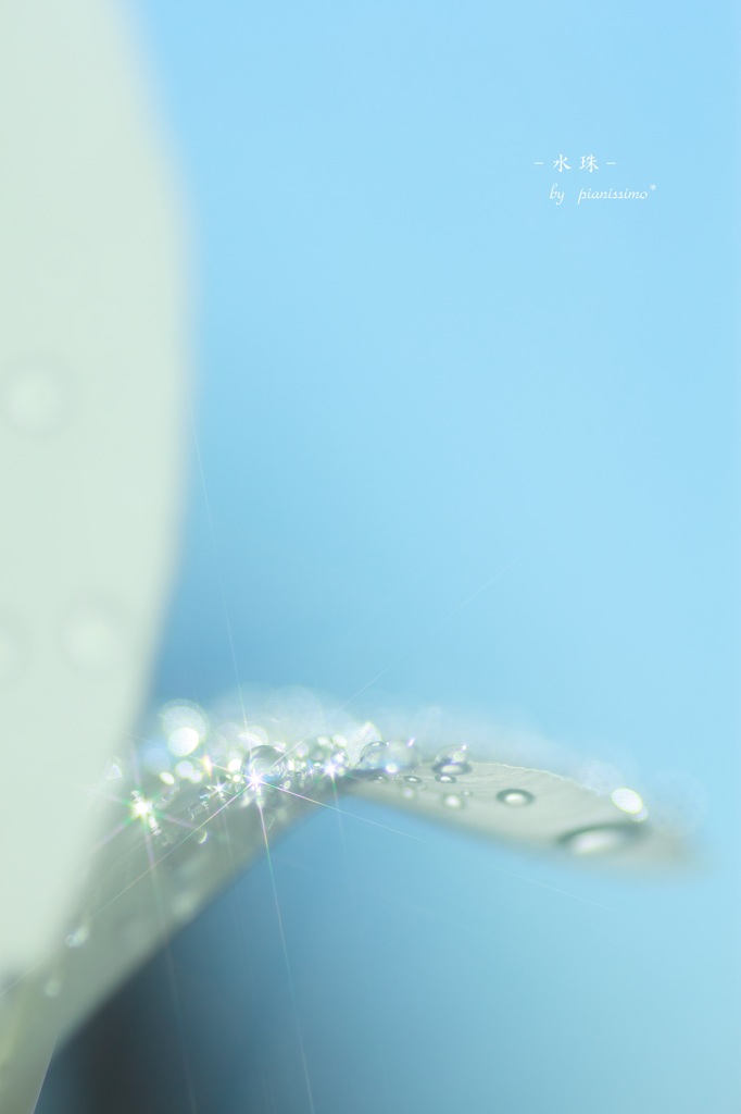 - 水珠 -　Ⅱ