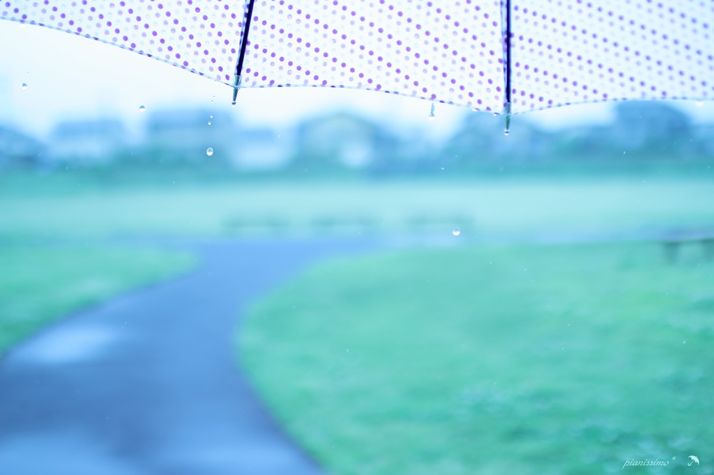 傘と雨と・・・