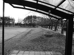 Image_黒坂義明 004