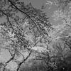 DSCN2020_黒坂義明