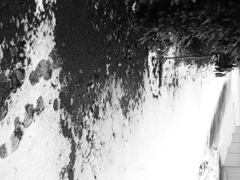 Image_黒坂義明 033