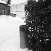 DSCN1278DSCN1179_黒坂義明