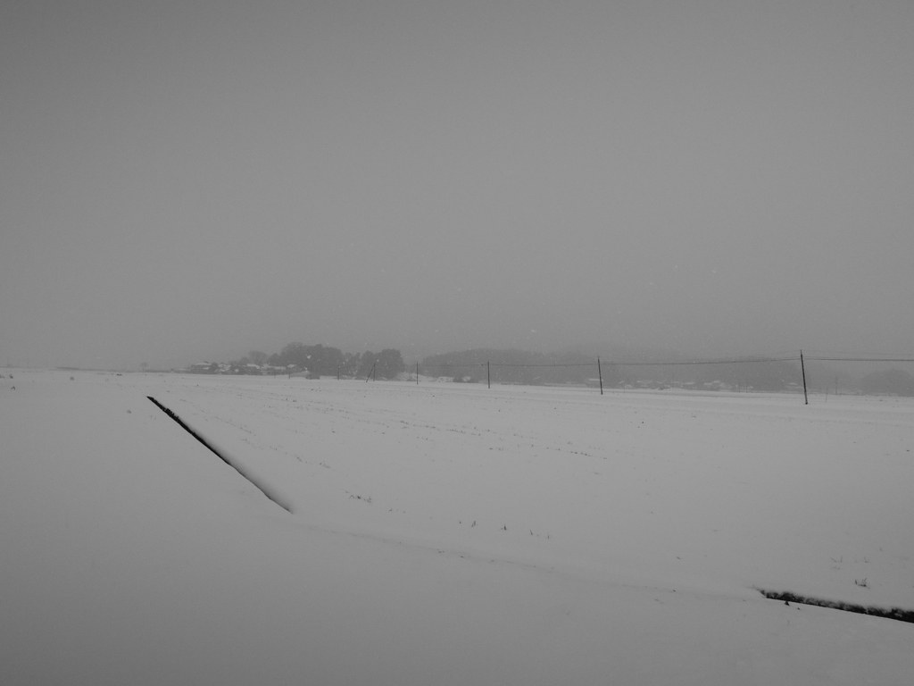 image_黒坂義明_2014-1-20_03