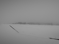 image_黒坂義明_2014-1-20_03