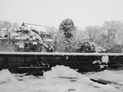 Image_黒坂義明 002