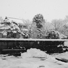 Image_黒坂義明 002