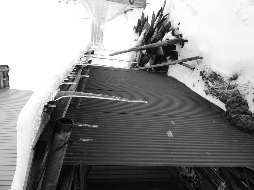 Image_黒坂義明_2014-1-14