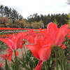 DSCN2047_黒坂義明