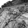 DSCN1216DSCN1179_黒坂義明