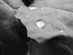 Image_黒坂義明 027