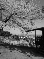 DSCN2003_黒坂義明