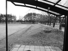 Image_黒坂義明 005