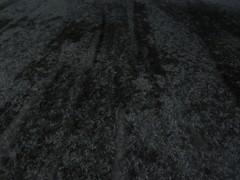 Image_黒坂義明 025
