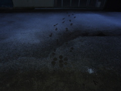 Image_黒坂義明 015