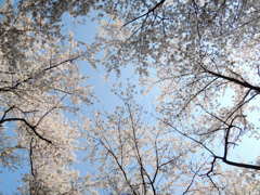 DSCN1940_黒坂義明