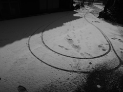 Image_黒坂義明 047