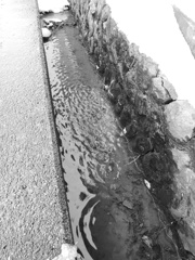 DSCN1252DSCN1179_黒坂義明