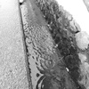 DSCN1252DSCN1179_黒坂義明