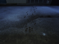 Image_黒坂義明 014