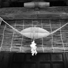 DSCN1360_黒坂義明