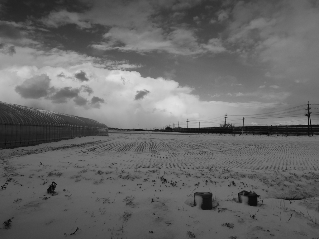 Image_黒坂義明 016