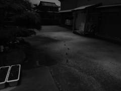 Image_黒坂義明 020