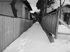 DSCN1263_黒坂義明