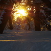 夕松　雪景色