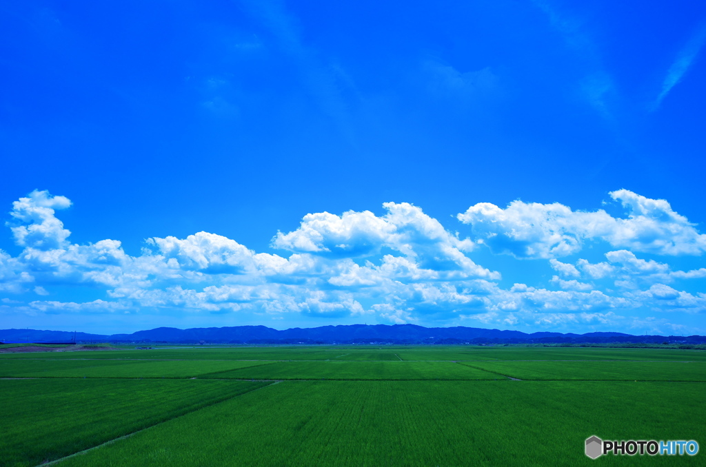 blue