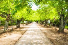 green