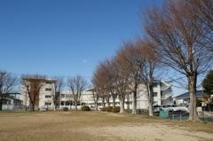 いつもの