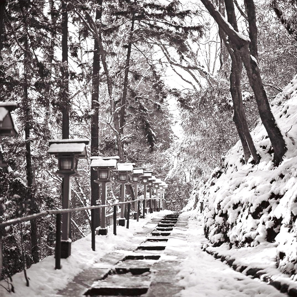 冬曙