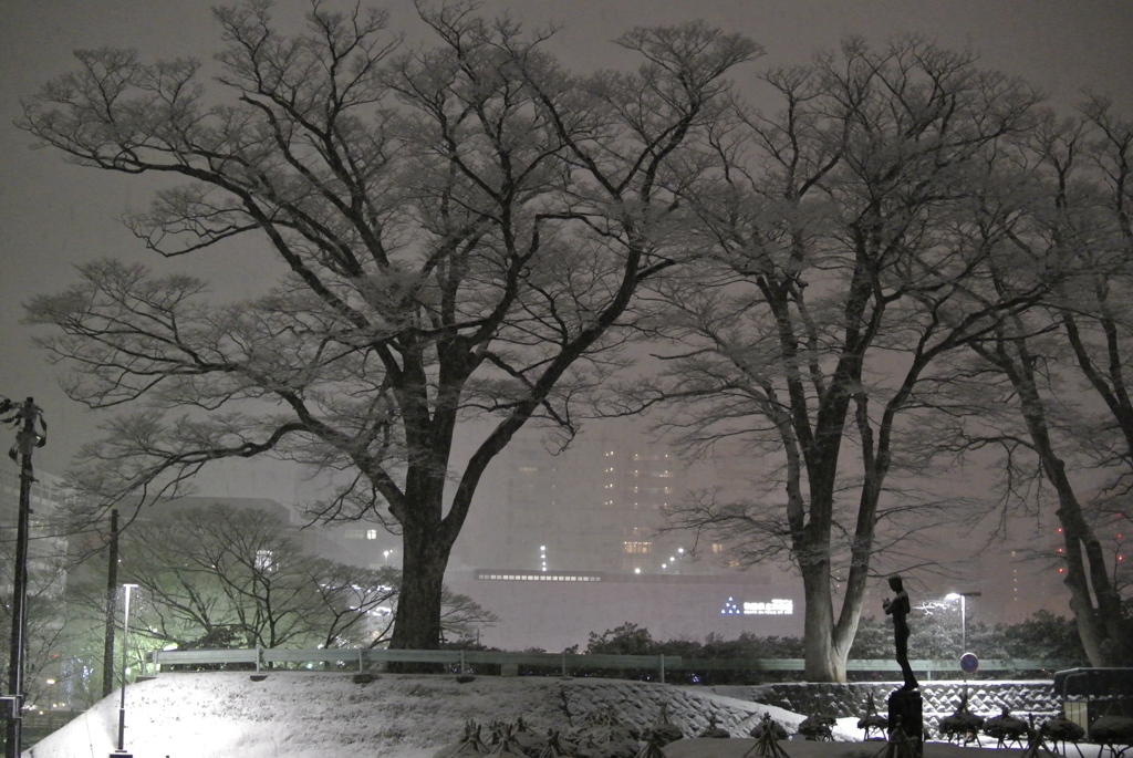 雪が咲いた木