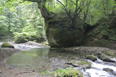 ネコバリ岩