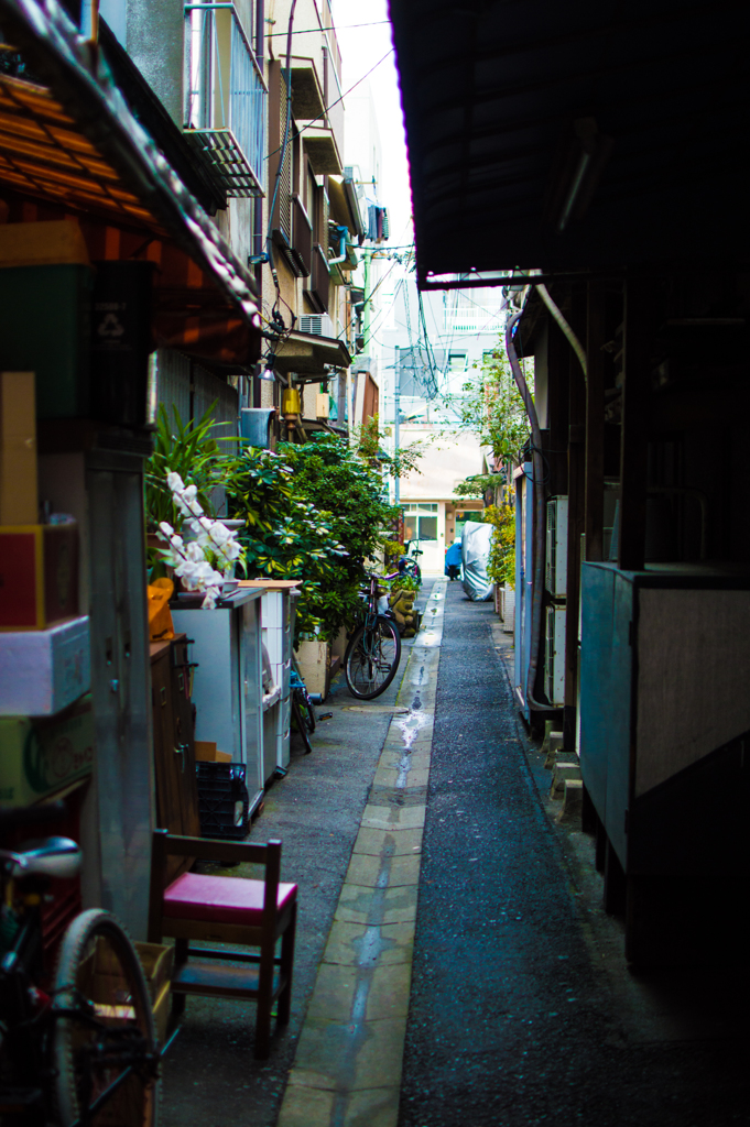 横道・月島