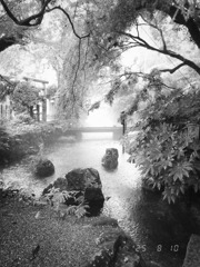醒井宿　大雨