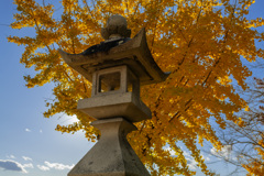 万葉公園